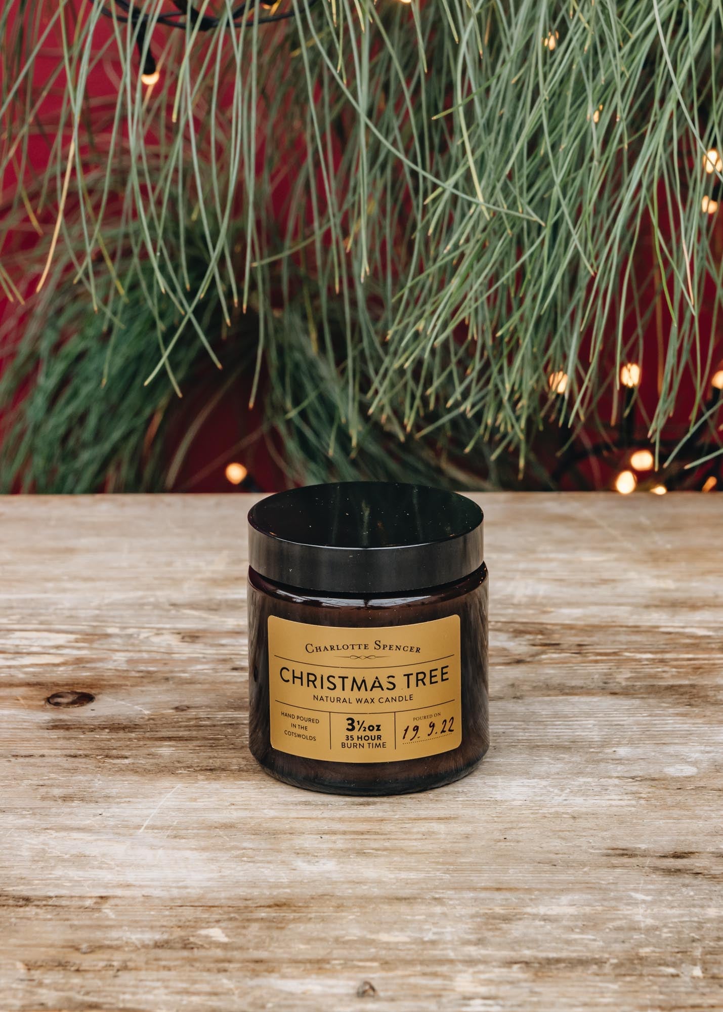 Charlotte Spencer Scented Candle in Christmas Tree, 3.5oz