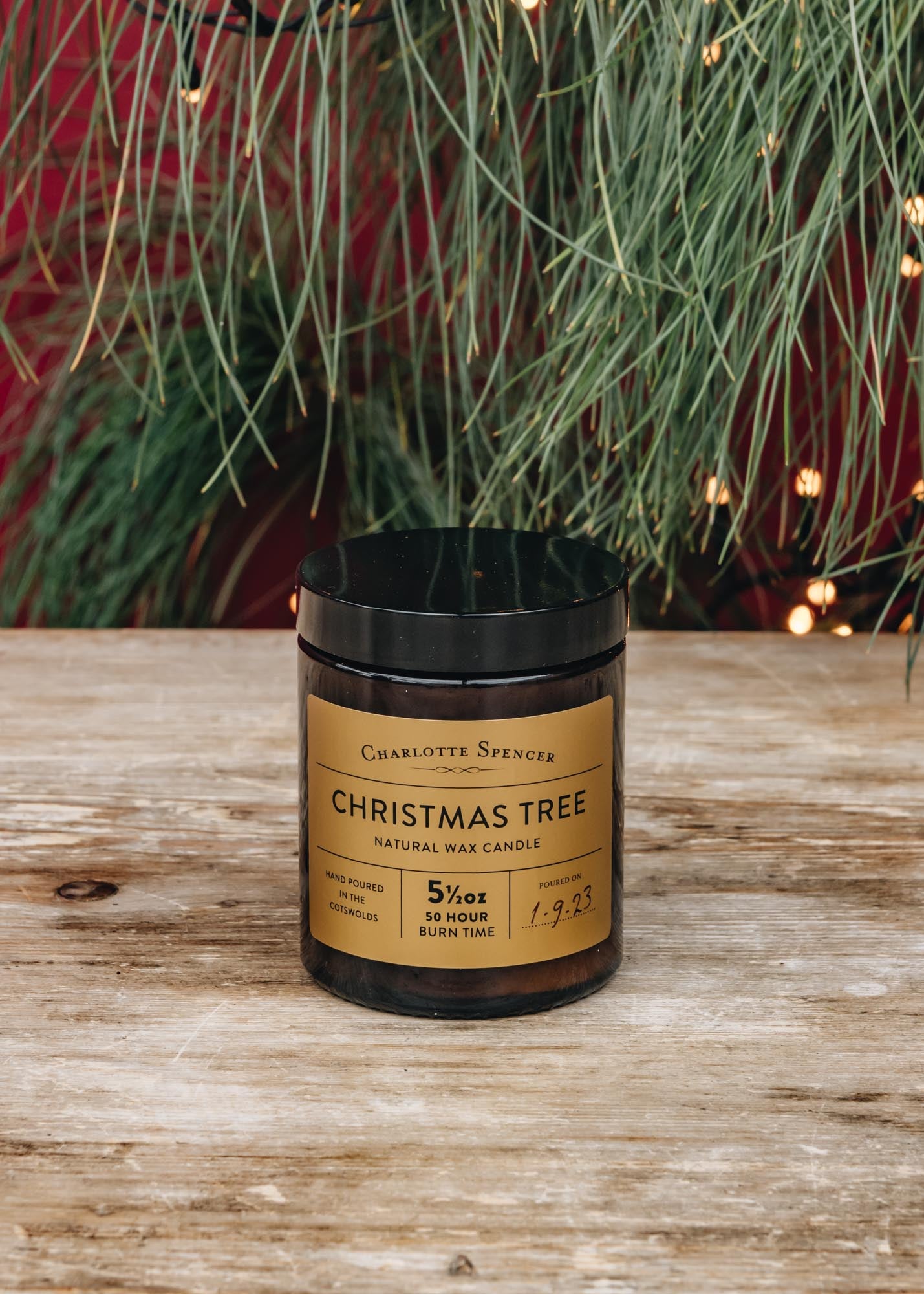 Charlotte Spencer Scented Candle in Christmas Tree, 5.5oz
