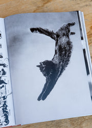 Assouline Chic Cats