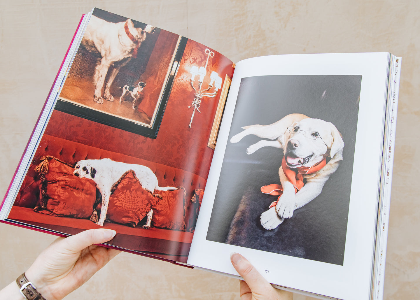 Assouline Chic Dogs