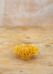 Chive Burnt Yellow Tundra Carnation Wall Decoration