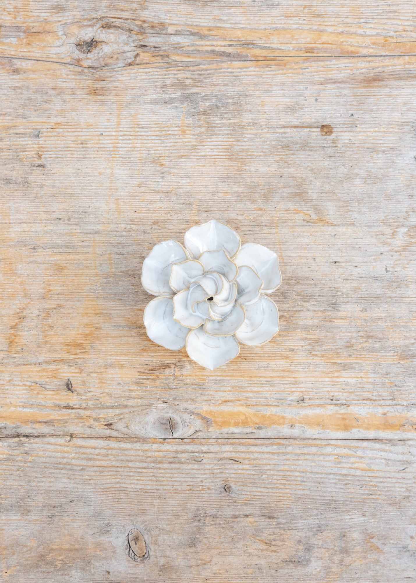 Ivory Daffodil Wall Decoration
