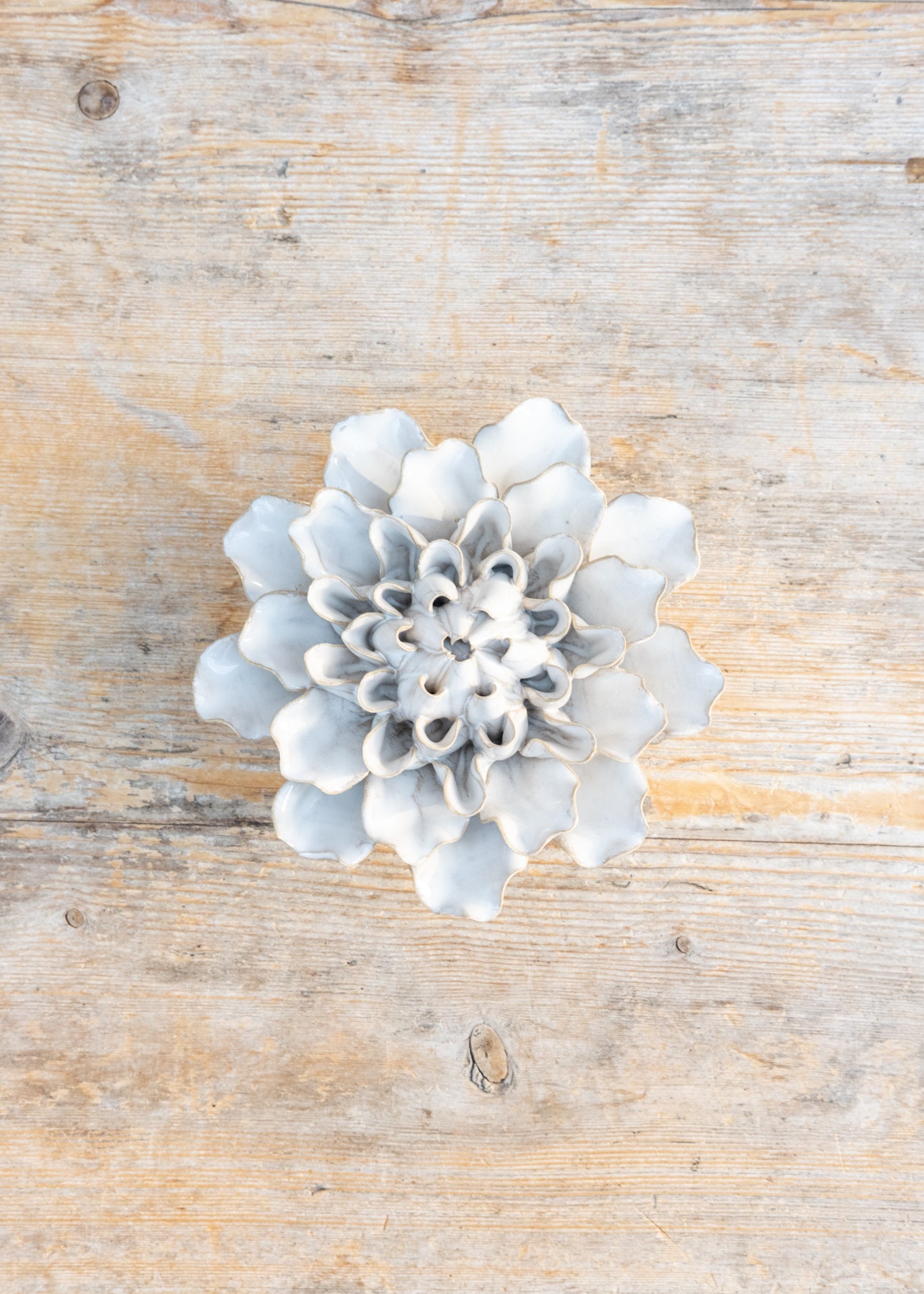 Ivory European Water Lily Wall Decoration