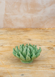Chive Jade Green Succulent Wall Decoration