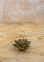 Chive Olive Green Echeveria Wall Decoration