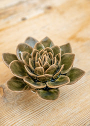 Olive Green Echeveria Wall Decoration