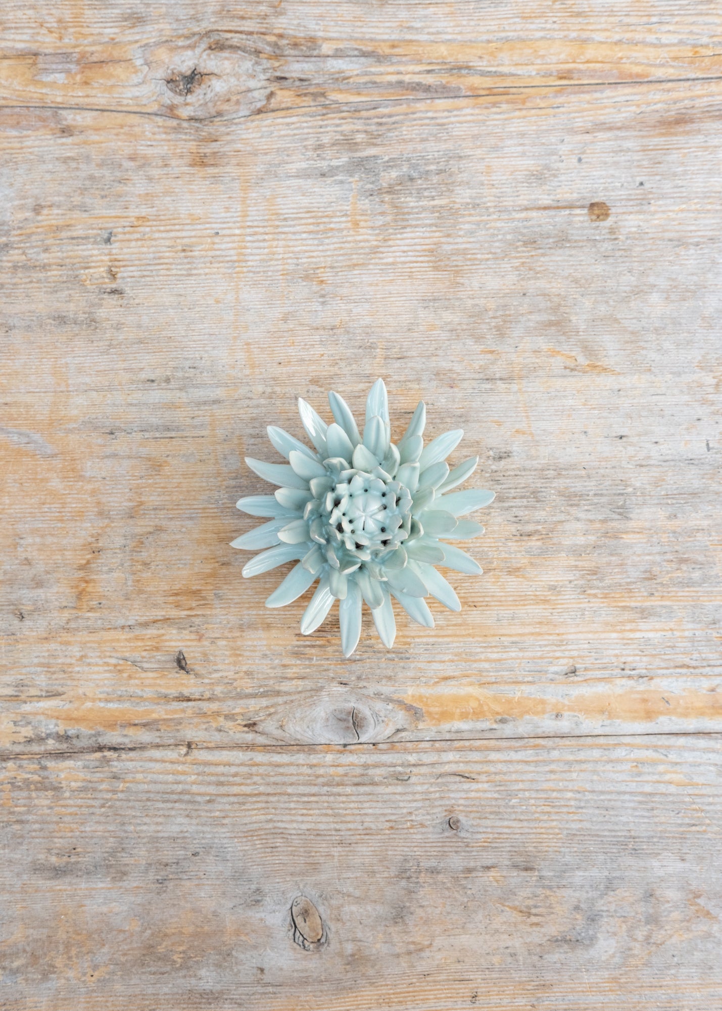 Panache Green Spider Mum Wall Decoration