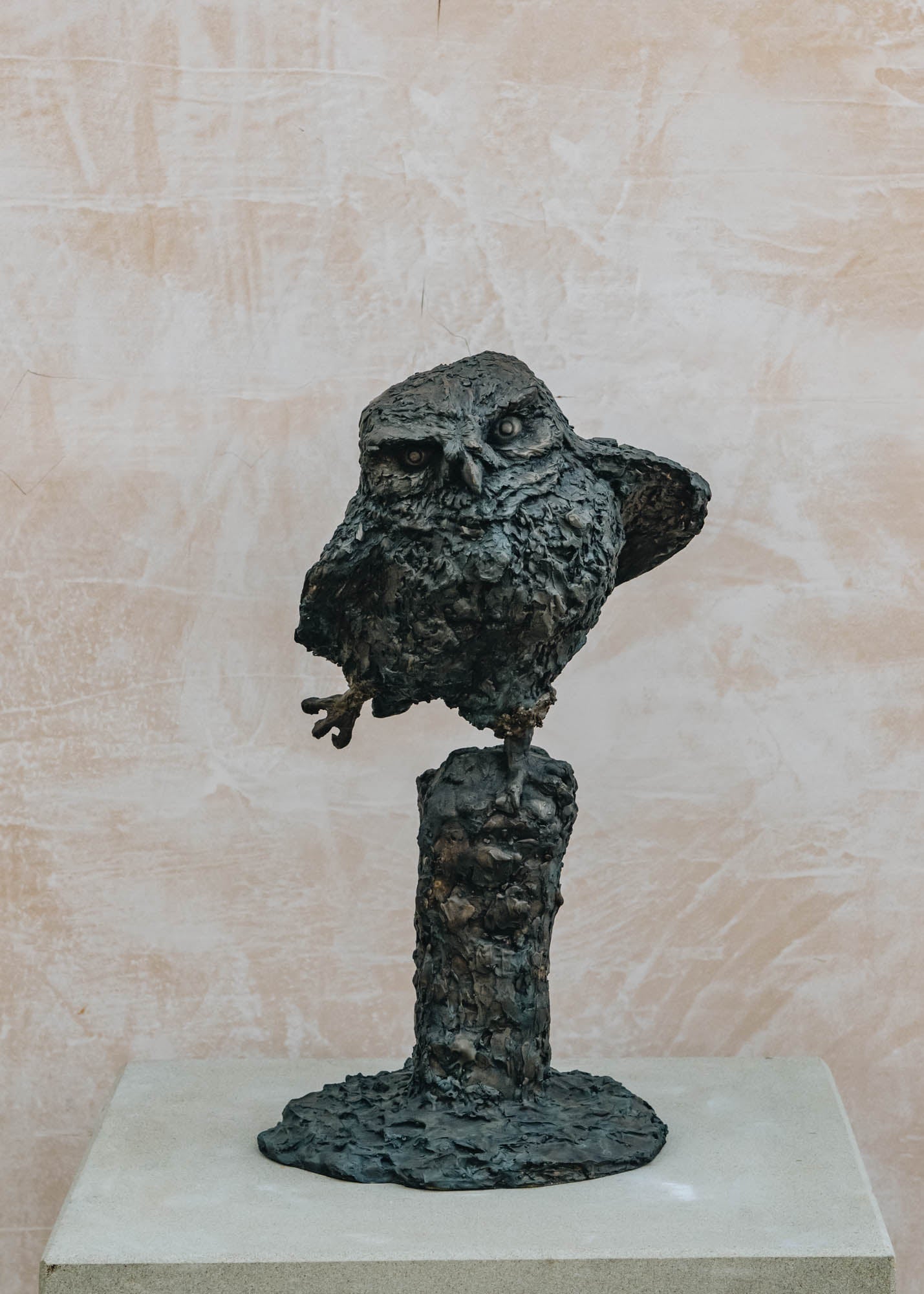 Little Owl by Christine Baxter