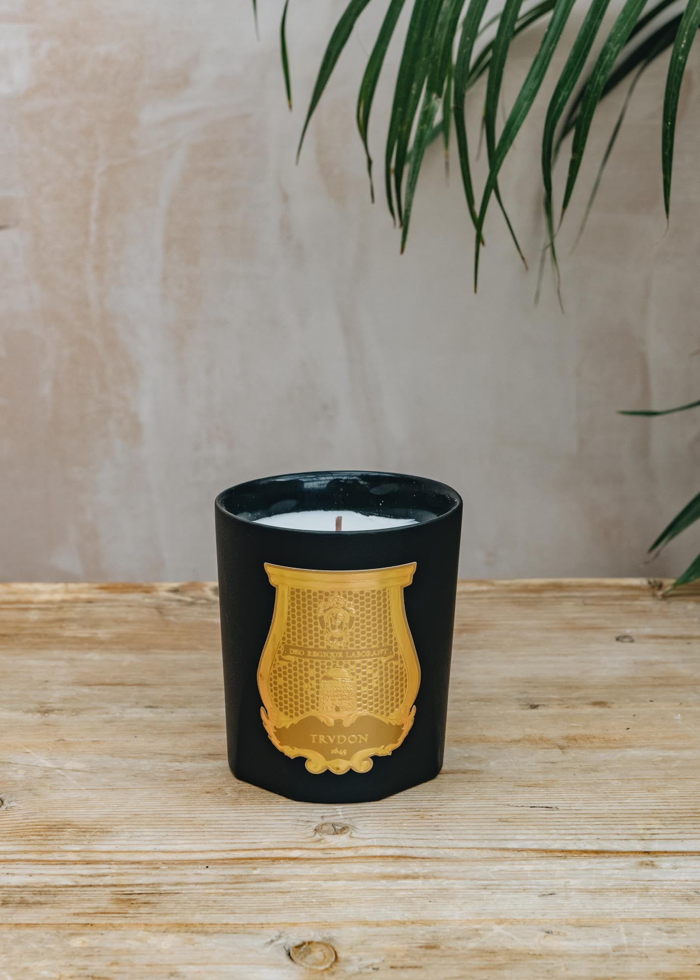 Trudon Classic Scented Candle in Mary