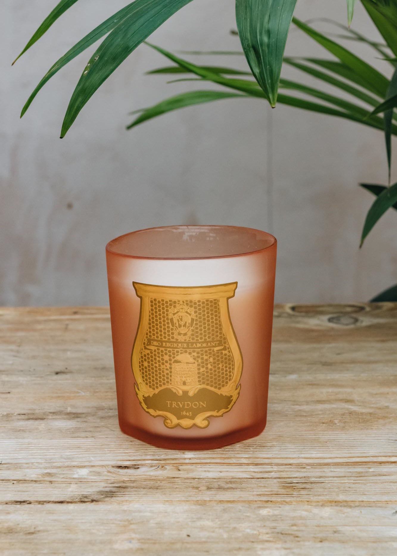 Trudon Classic Candle in Tuileries