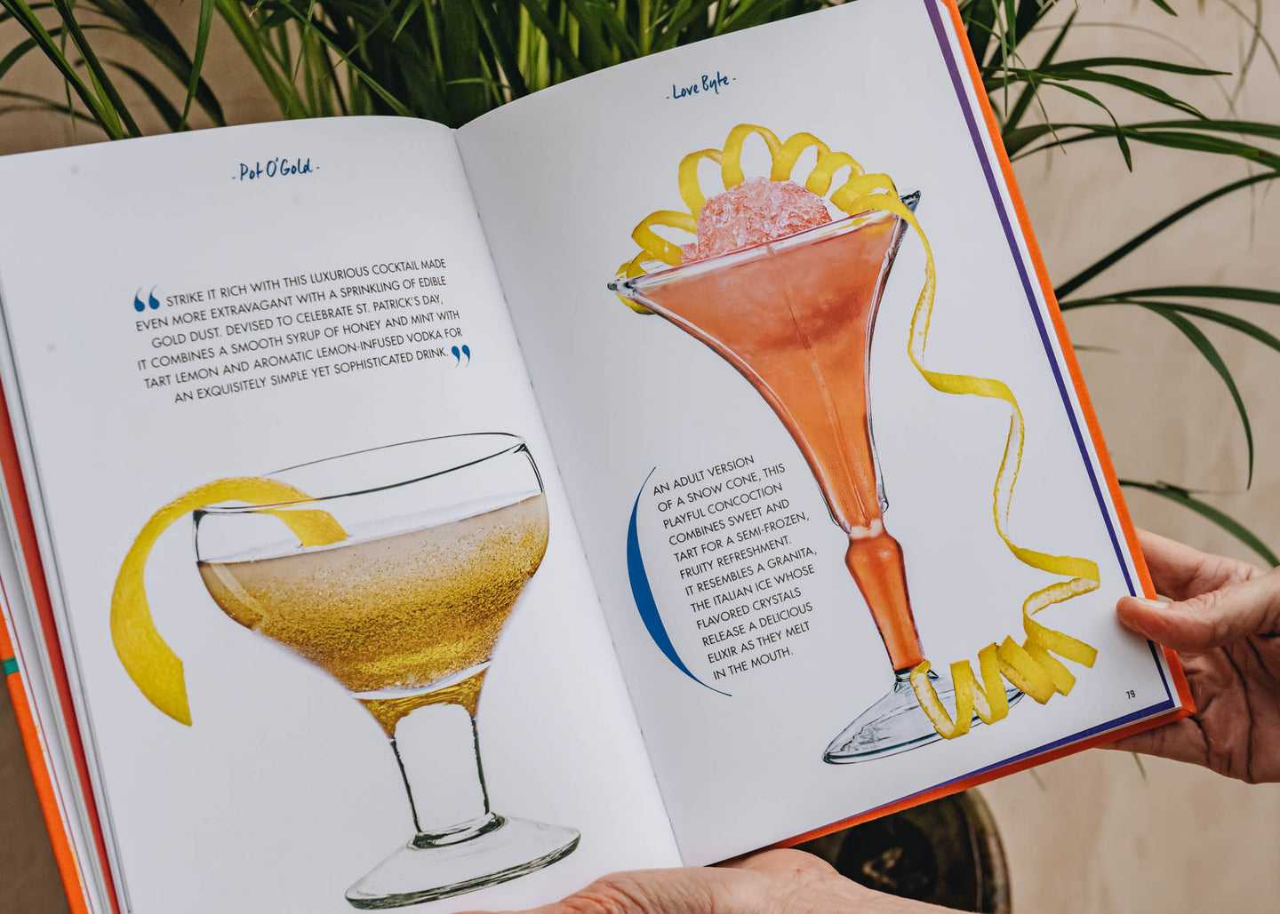 Cocktail Chameleon Book