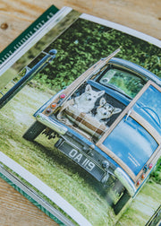 Books Country Life's Book of Dogs