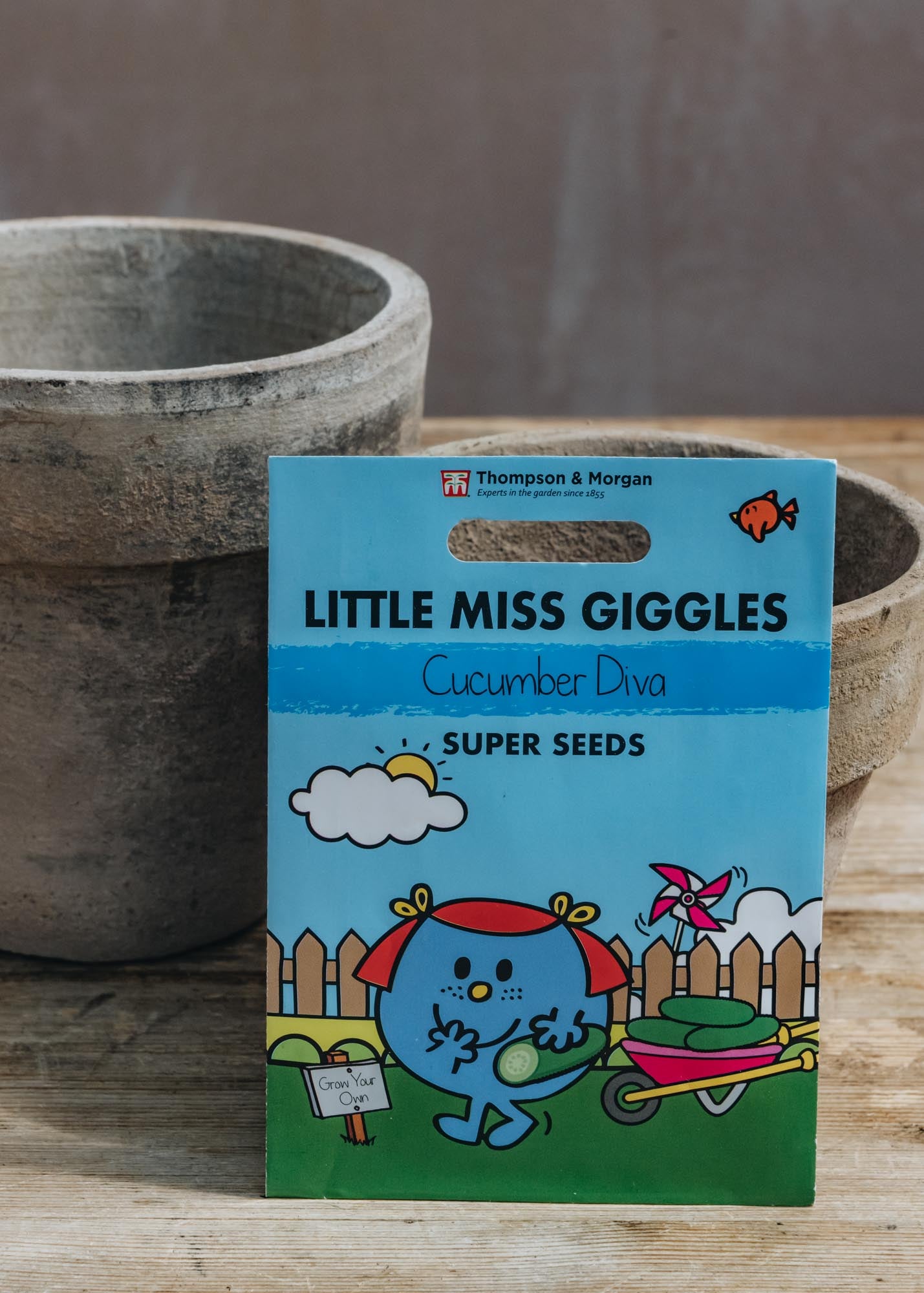 Little Miss Giggles Cucumber Diva Seeds