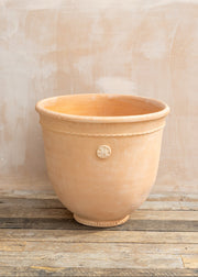 Large Coquille Pot