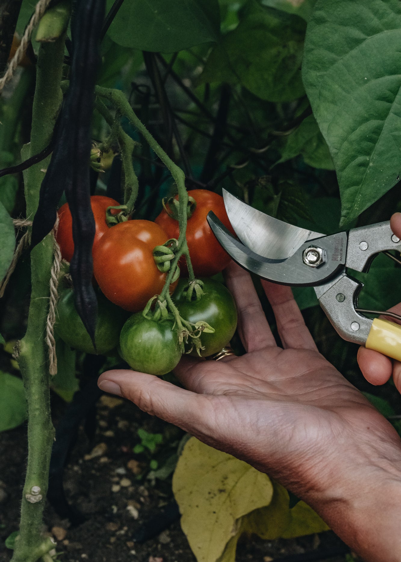 Daikiba Secateurs with Canvas Pouch