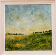 Morning Light Over a Summer Meadow