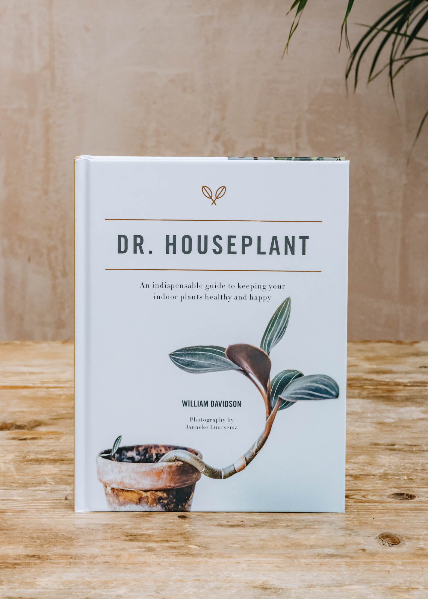 Dr. Houseplant: An Indispensable Guide to Keeping Your Indoor Plants Healthy and Happy