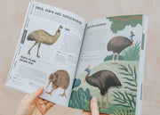Books Encyclopaedia of Birds 