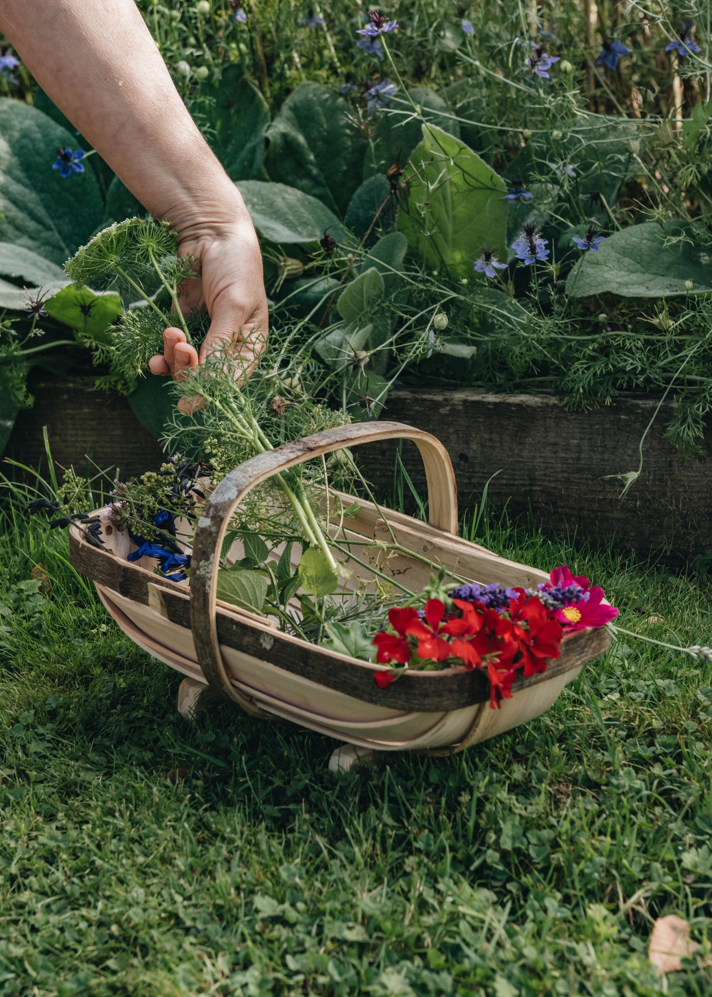 Extra Small Royal Sussex Trug