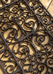 Fallen Fruits Large Rectangular Cast Iron Doormat
