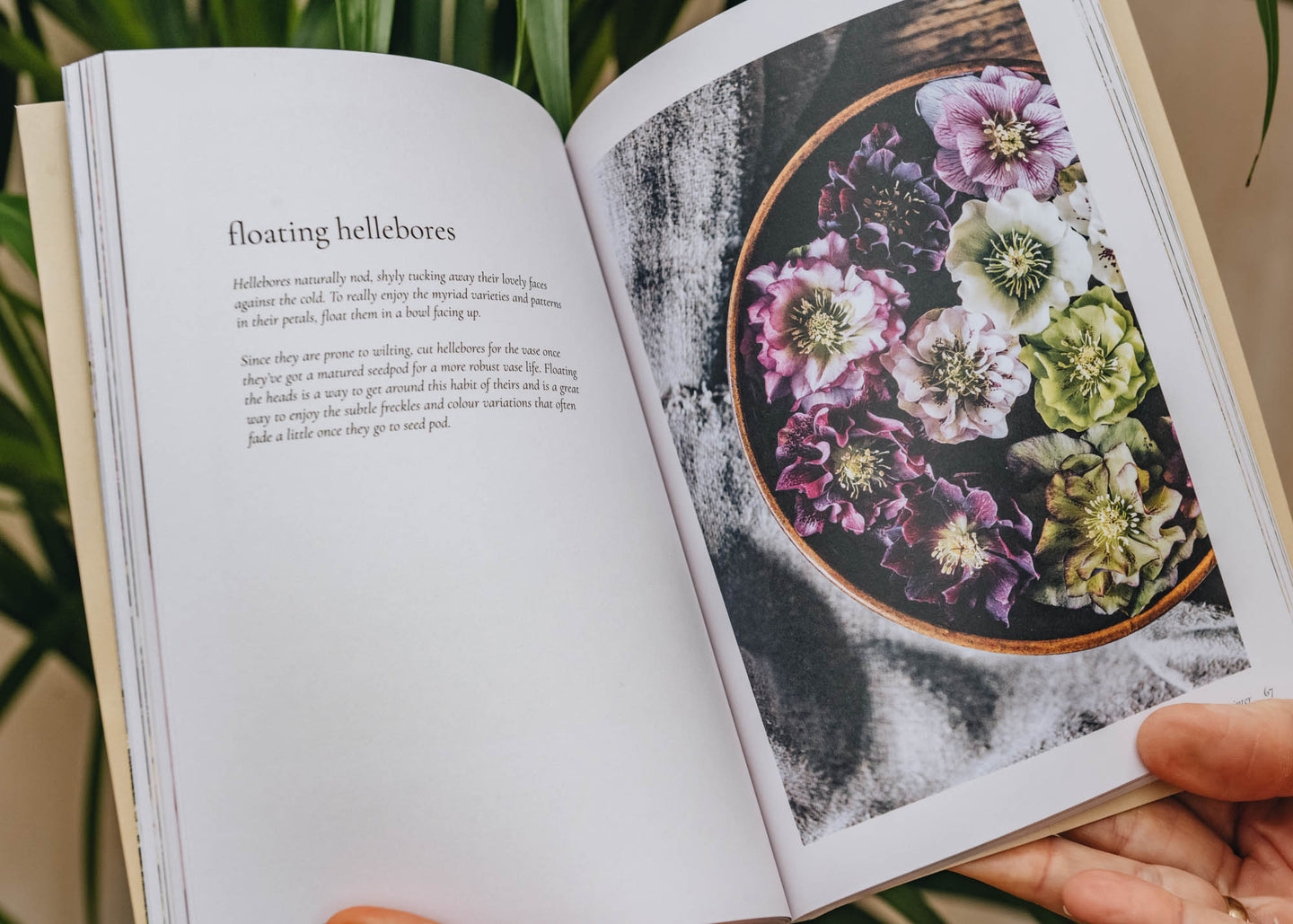 Books Floristry: 14 Seasonal Projects to Enjoy in Your Home