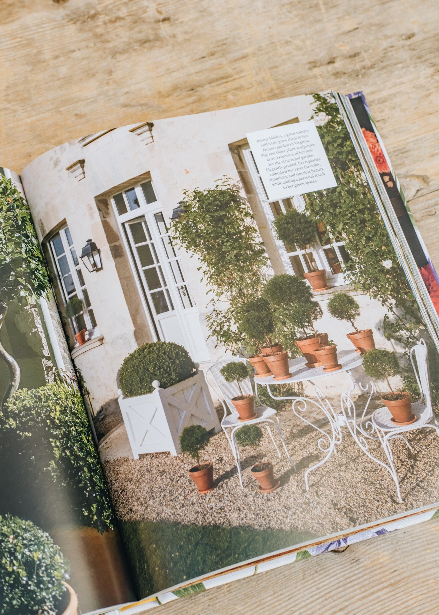 Books Flower Couture: From My Garden to My House