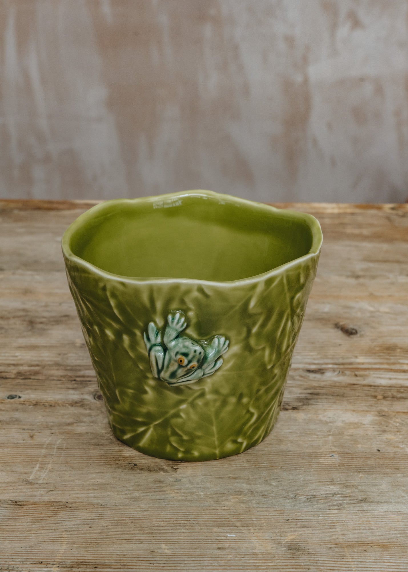 Bordhallo Pinheiro Frog Vase/Pot Cover