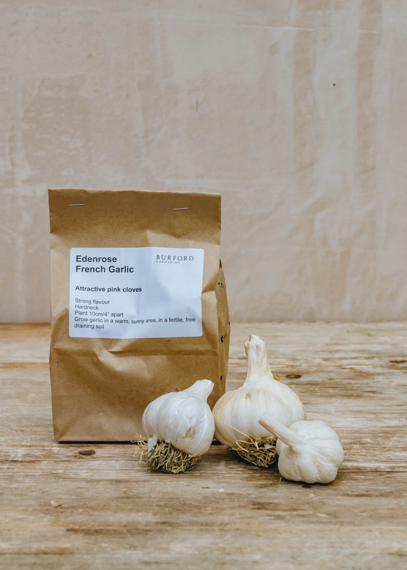 French Garlic 'Edenrose', pack of 50 sets