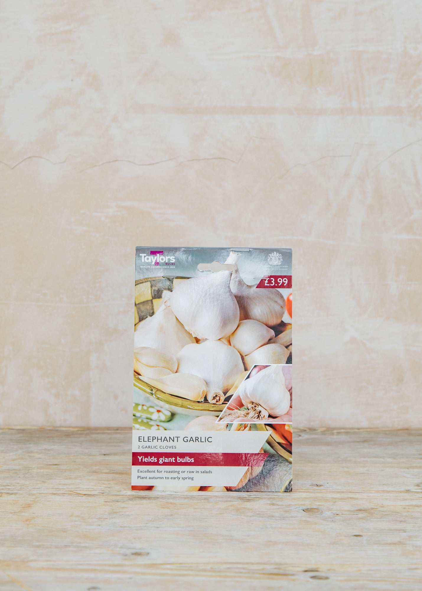 Garlic Elephant, pack of two cloves