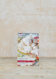 Garlic Elephant, pack of two cloves