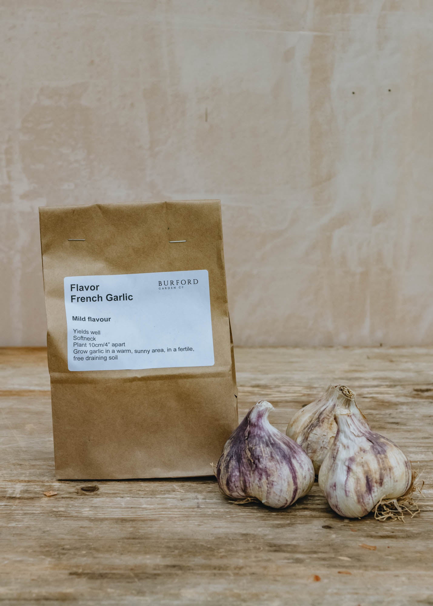 French Garlic 'Flavor', pack of 50 sets