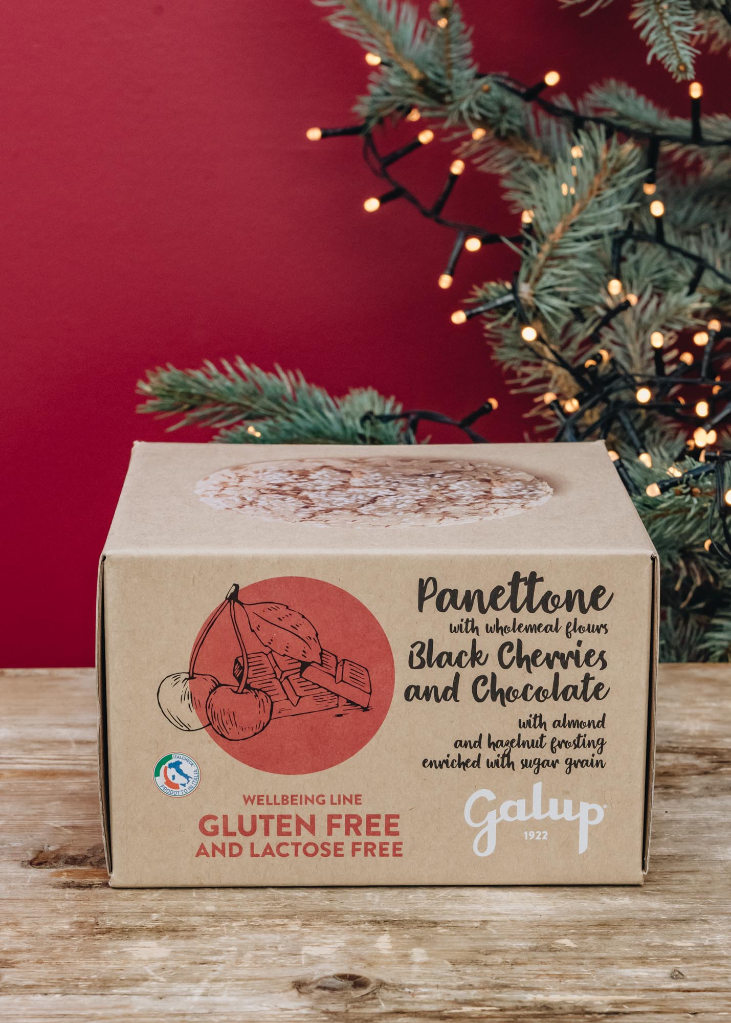 Gluten and Lactose Free Panettone with Black Cherries and Chocolate
