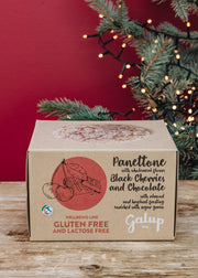 Gluten and Lactose Free Panettone with Black Cherries and Chocolate