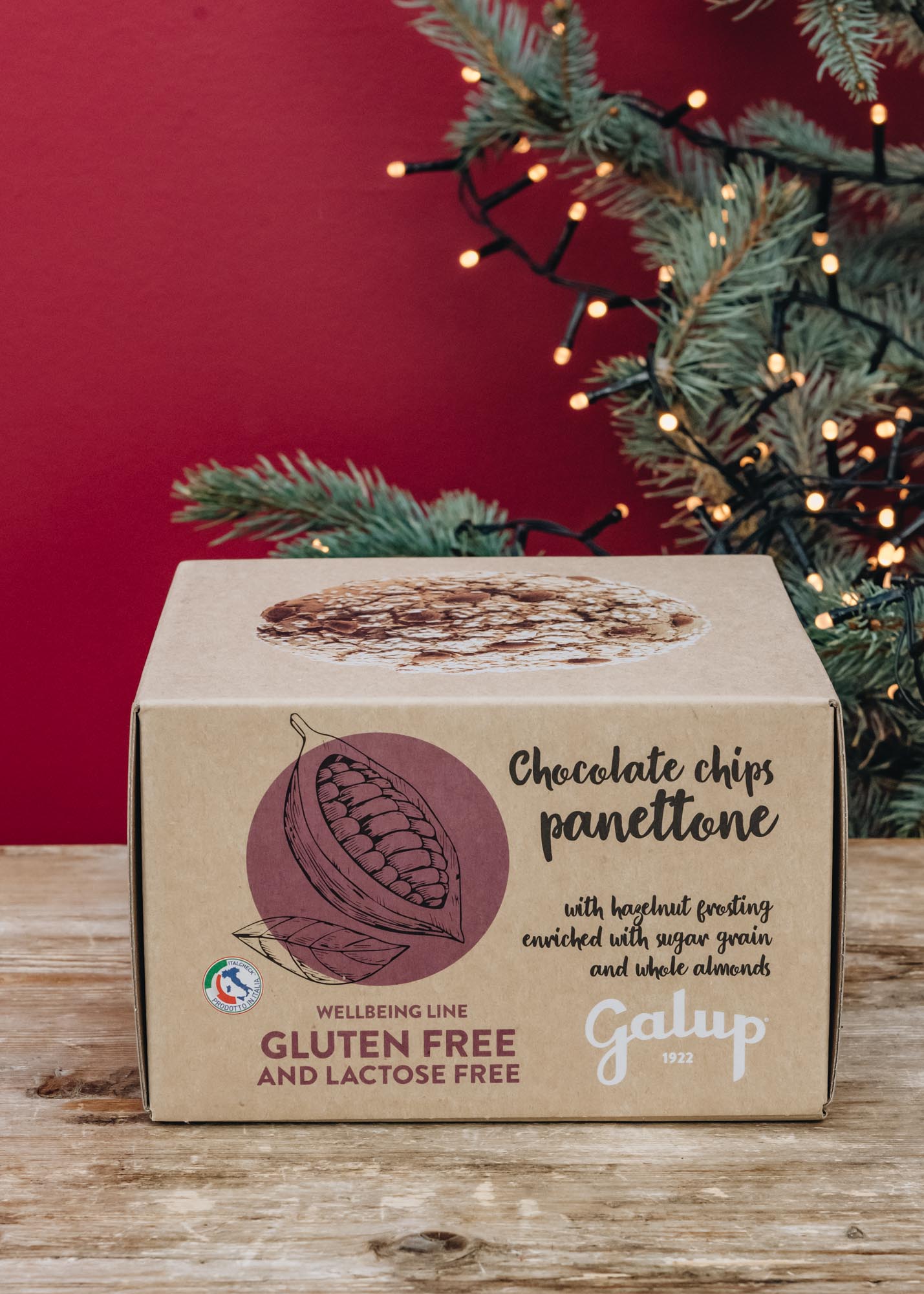 Gluten and Lactose Free Chocolate Chip Panettone