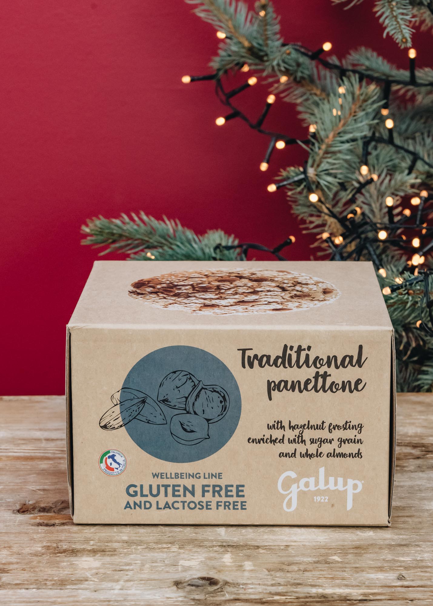 Gluten and Lactose Free Traditional Panettone