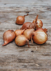Taylors Bulbs Shallot 'Golden Gourmet', pack of 10 sets