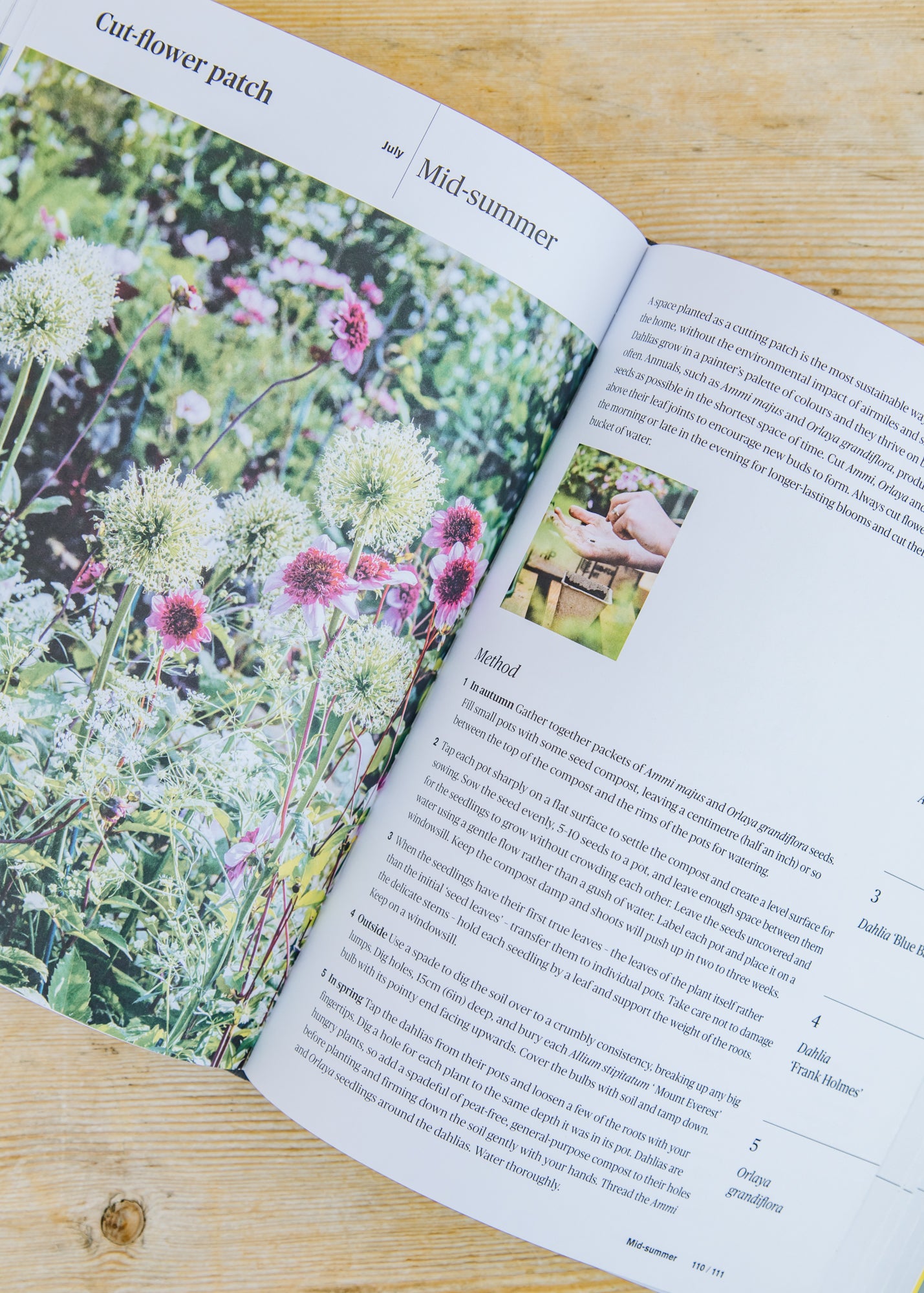 Books Grow 5: Simple Seasonal ideas for Small Outdoor Spaces with Just Five Plants