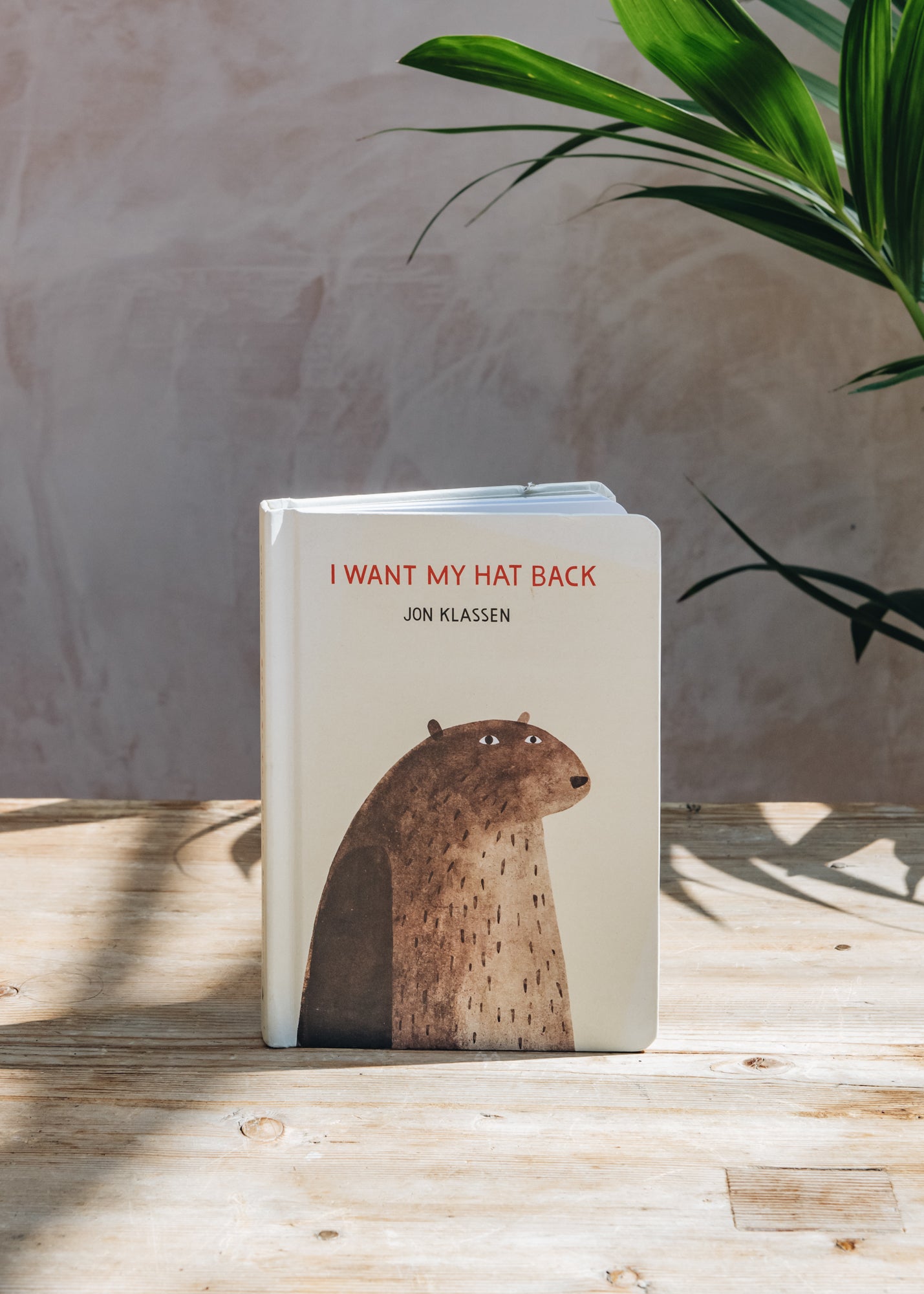 Children's Books I Want My Hat Back
