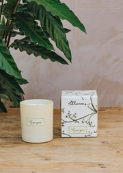 Illumens Candle in Garrigue