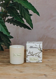 Illumens Candle in Madame Therese
