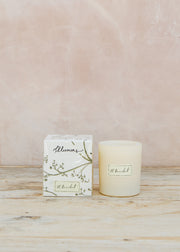 Illumens St Benedict Scented Candle