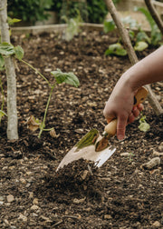 Implementations Castor Trowel