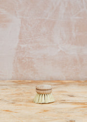 Rococo Everyday Dishbrush Tampico Fibre Refill