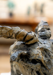 Burford Gallery 'Mr Power' - Head of a Ram