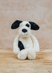 Bashful Black and Cream Puppy