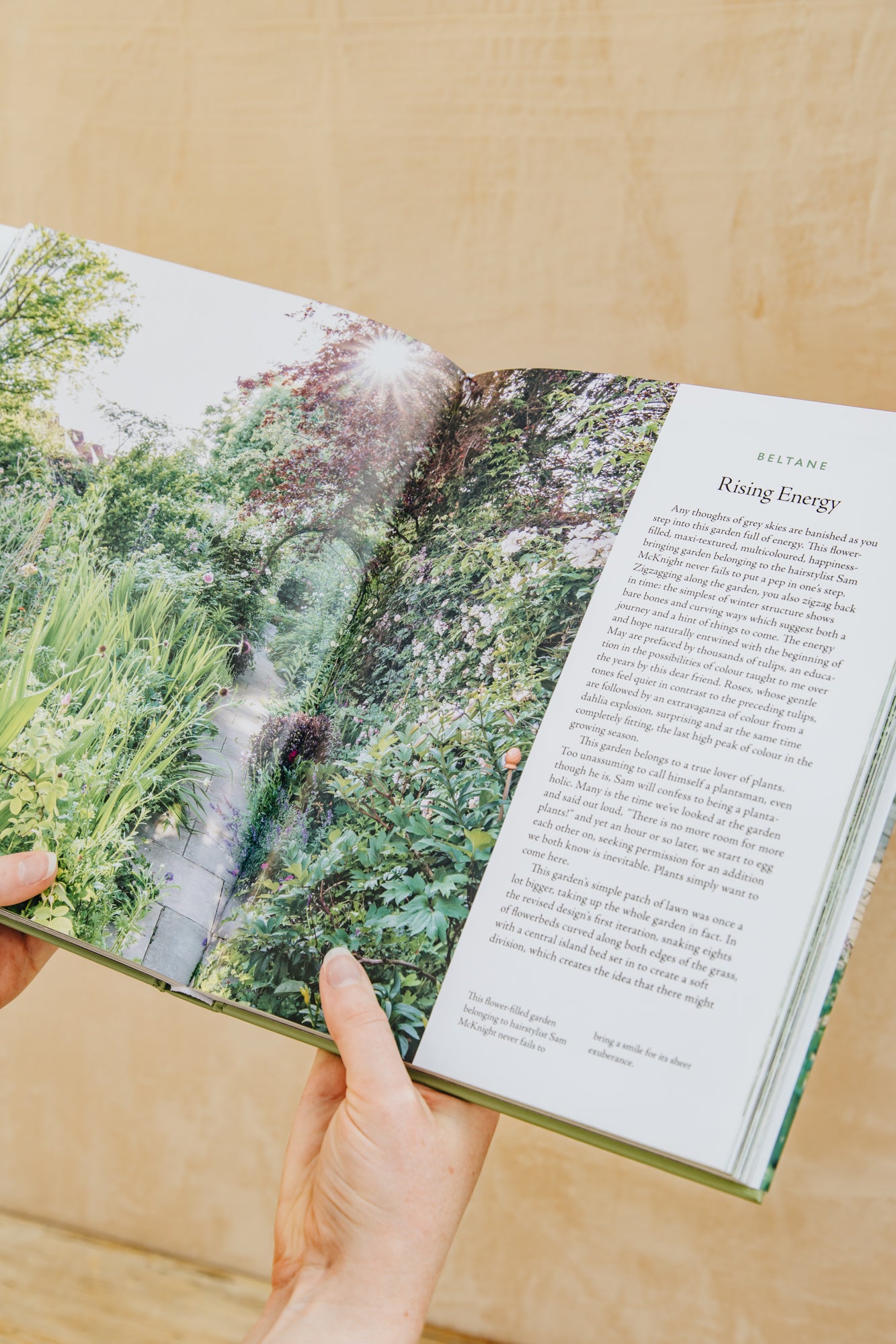 Books The New Romantic Garden
