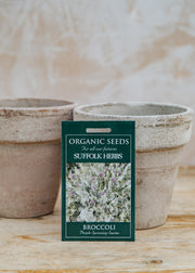 Broccoli ‘Purple Sprouting Santee’ Seeds