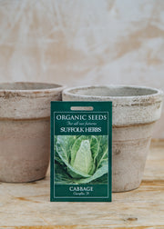 Cabbage ‘Caraflex F1’ Seeds