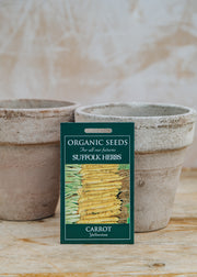 Carrot ‘Yellowstone’ Seeds