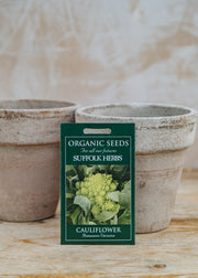 Cauliflower ‘Romanesco Veronica’ Seeds